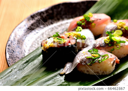 新鮮竹莢魚壽司 新鮮竹莢魚壽司 66462867