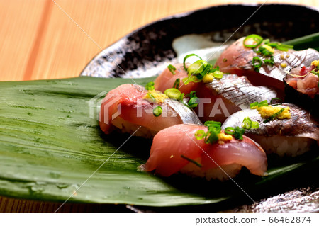 Fresh horse mackerel sushi Fresh horse mackerel sushi 66462874
