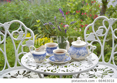 在花園裡喝茶 66463018