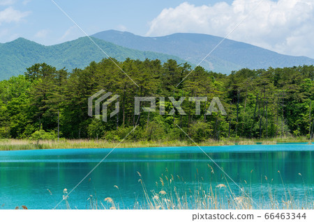福島縣北尾原村本初沼和西阿祖瑪山初夏的五沼沼自然風景區風景 福島縣北尾原村本初沼和西阿祖瑪山初夏的五沼沼自然風景區風景 66463344