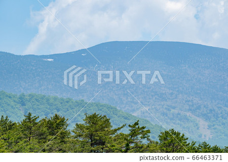 福島縣北鹽原村西吾妻山山越基沼沼自然探索路的風景 66463371