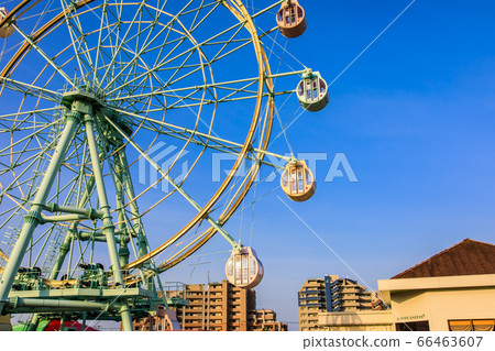 柏志園（柏井花之野）西爾萬尼亞花園哈那遊樂園早晨風光[福岡市東區] 66463607