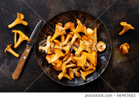 raw mushroom raw mushroom 66463683