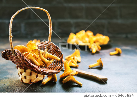 raw mushroom raw mushroom 66463684