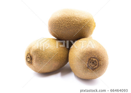 Kiwifruit (green) 66464093
