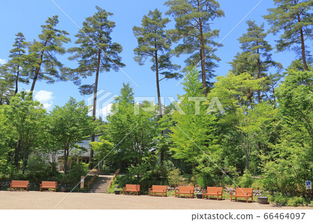 國家阿爾卑斯山安zu野公園H金和穗高地區 國家阿爾卑斯山安zu野公園H金和穗高地區 66464097