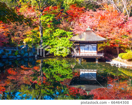 和歌山城堡秋葉園 和歌山城堡秋葉園 66464308