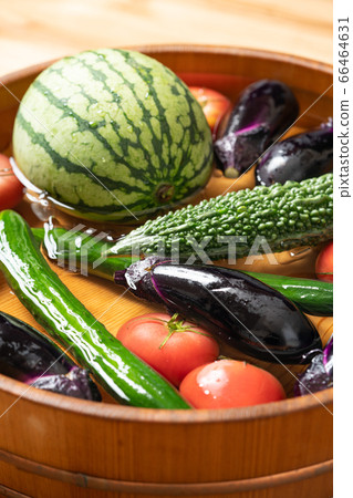 Cool summer vegetables in a tub Cool summer vegetables in a tub 66464631