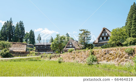Aikura Gassho-zukuri village in early summer 66464819