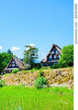 Aikura Gassho-zukuri village in early summer Aikura Gassho-zukuri village in early summer 66464869