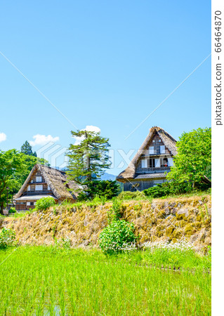 Aikura Gassho-zukuri village in early summer Aikura Gassho-zukuri village in early summer 66464870