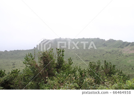 Jeju Island, South Korea 66464938