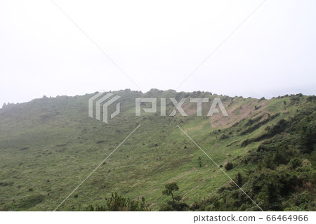 韓國濟州島 韓國濟州島 66464966