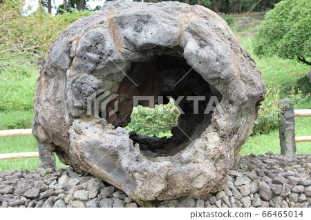 韓國濟州島 66465014