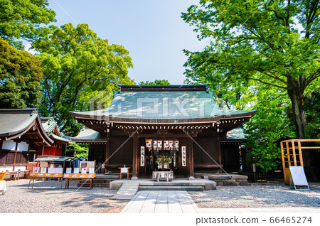 Hikawa Shrine, Kawagoe City, Saitama Prefecture 66465274