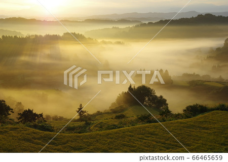 Autumn Hoshitoge terraced rice fields in the golden autumn Autumn Hoshitoge terraced rice fields in the golden autumn 66465659