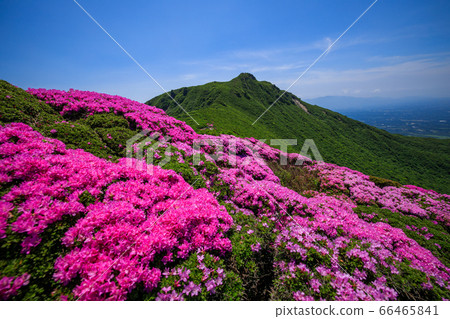《Kuju Mountain Range, Oita Prefecture》 Ofunayama and Miyajima Kirishima 66465841