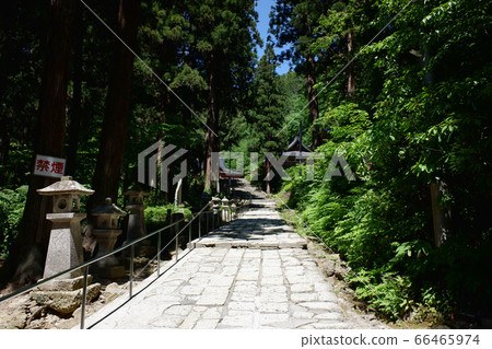 山形文十的方法 66465974