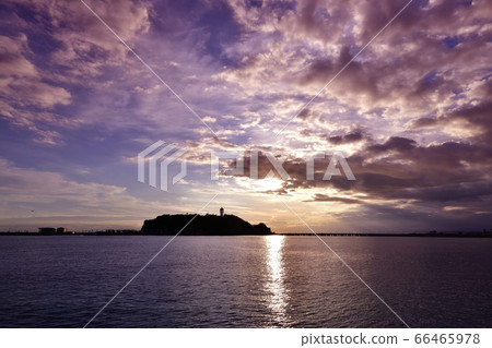 從越後漁港欣賞江之島的夜景 66465978