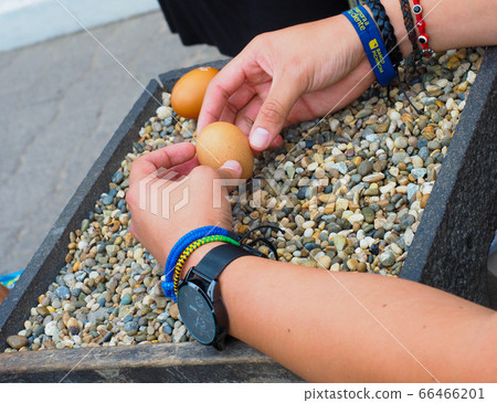 <Ecuador> Eggplant Challenge at Equatorial Monument Park 66466201