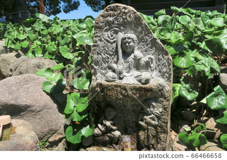 [Chugoku 33 Kannon Sacred Ground] No. 1 Saidaiji Watering Vow Fudo and Leopard Plant Leaves Higashi-ku, Okayama City, Okayama Prefecture 66466658