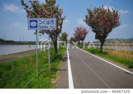 Tsukuba Rin Rin Road and signboard Tsukuba Rin Rin Road and signboard 66467320