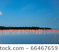 Flamingo colonies in Celestun Nature Reserve, Mexico 66467659