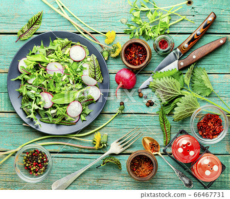 Salad with herbs and radishes Salad with herbs and radishes 66467731