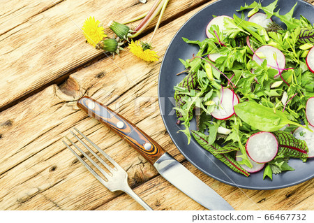 Salad with herbs and radishes Salad with herbs and radishes 66467732