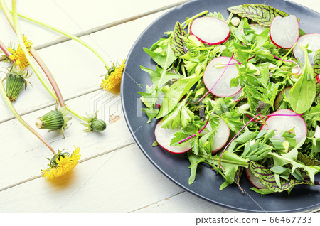 Healthy vegetable salad Healthy vegetable salad 66467733