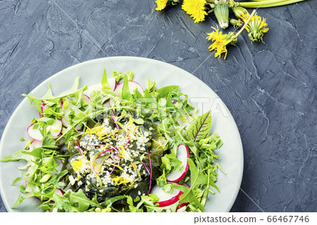 Salad with seaweed and herbs 66467746