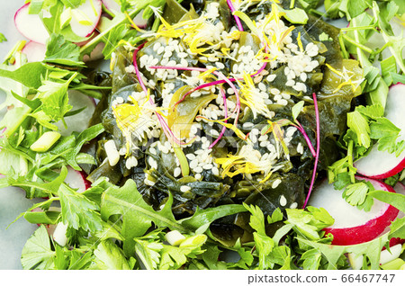 Salad with seaweed and greens Salad with seaweed and greens 66467747