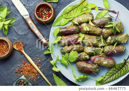 Traditional georgian dolma 66467775