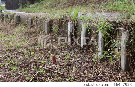 鄉村小路 鄉村小路 66467938