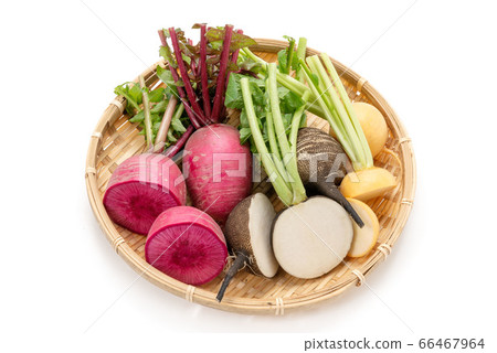 各種蘿蔔和蘿蔔 各種蘿蔔和蘿蔔 66467964