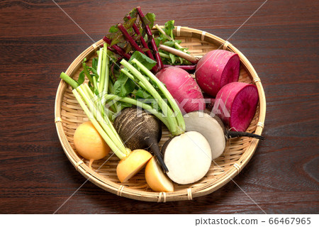 Various set of radish and turnip Various set of radish and turnip 66467965