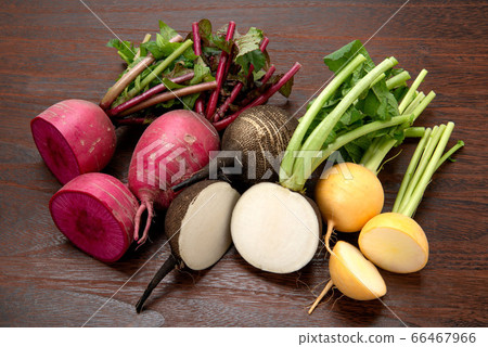 各種蘿蔔和蘿蔔 各種蘿蔔和蘿蔔 66467966