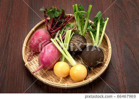 Various set of radish and turnip 66467969