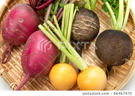 Various set of radish and turnip 66467970