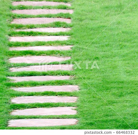 stone walkway on green grass in garden stone walkway on green grass in garden 66468332
