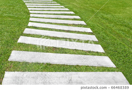 green grass and stone walkway in the park green grass and stone walkway in the park 66468389