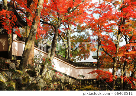 Okuboji Temple in Sanuki City in Autumn 66468511