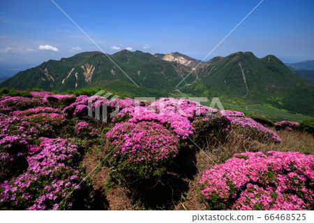 《Kuju Mountain Range, Oita Prefecture》 Kitaofunayama Miyama Kirishima and Mt. 《Kuju Mountain Range, Oita Prefecture》 Kitaofunayama Miyama Kirishima and Mt. 66468525