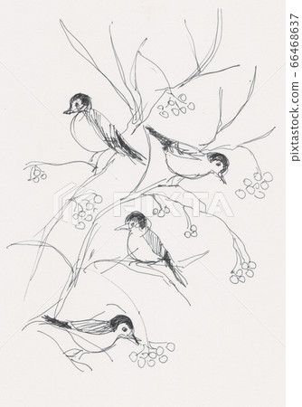 birds on branches birds on branches 66468637