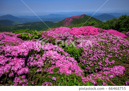《Kuju Mountain Range, Oita Prefecture》 Miyama Kirishima dyeing Kitafuneyama and Mt. 《Kuju Mountain Range, Oita Prefecture》 Miyama Kirishima dyeing Kitafuneyama and Mt. 66468755