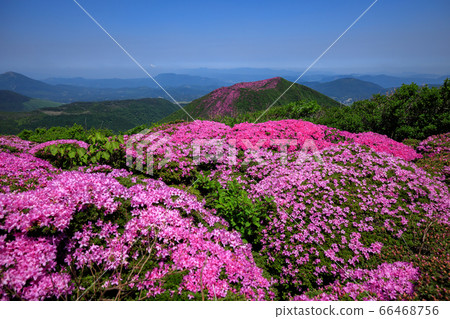 《Kuju Mountain Range, Oita Prefecture》 Miyama Kirishima dyeing Kitafuneyama and Mt. 《Kuju Mountain Range, Oita Prefecture》 Miyama Kirishima dyeing Kitafuneyama and Mt. 66468756