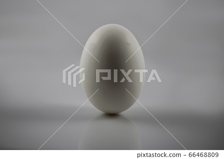 一個雞蛋 66468809