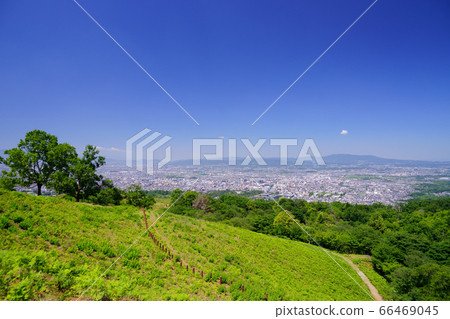 Sunny Wakakusa Mountain 360°-3 (Ikoma Mountain Area) 66469045