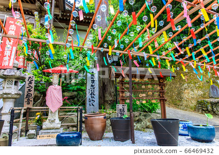Sannoji Furin Tunnel [Shinoguri Town, Kasuya-gun, Fukuoka Prefecture] 66469432