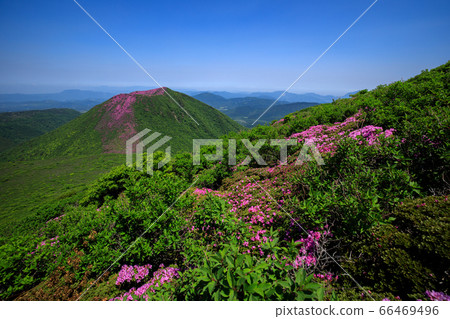 《大分縣九州山脈》宮島美山染山 《大分縣九州山脈》宮島美山染山 66469496